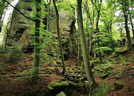 Lovely Apartment in Bollendorf near South Eifel Nature Park