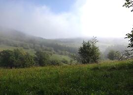 Lovely Apartment in Bollendorf near South Eifel Nature Park