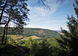 Lovely Apartment in Bollendorf near South Eifel Nature Park