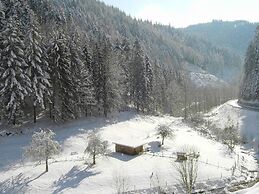 Comfy Apartment in Oppenau near Black Forest National Park