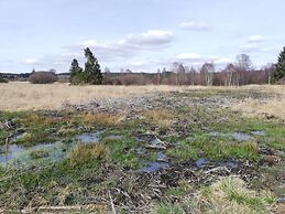 Picture Perfect Holiday Home in Sourbrodt