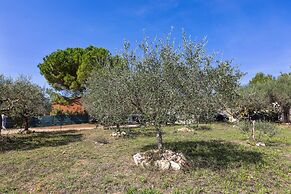 Holiday Home in Brignoles With Private Pool