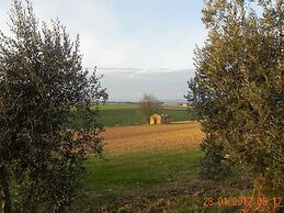 Home in Campiglia Marittima With Pool