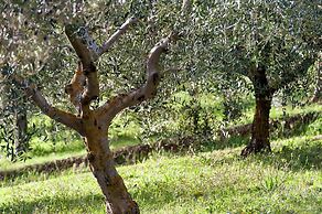 Farmhouse in Giano Dell'umbria with Hot Tub, Swimming Pool