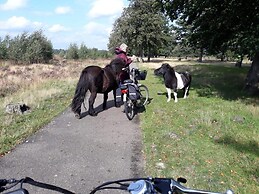 House in Hunzebergen Near Forest Trails