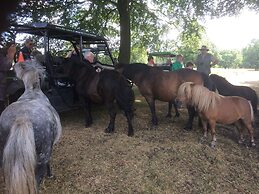 House in Hunzebergen Near Forest Trails