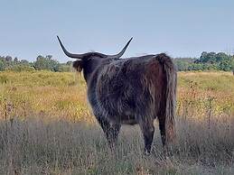 House in Hunzebergen Near Forest Trails