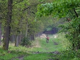 Attractive Bungalow With Sauna and hot tub