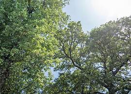 Belvilla by Oyo Nespolo Due