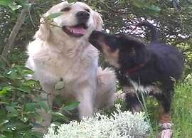 Belvilla by Oyo Nespolo Due