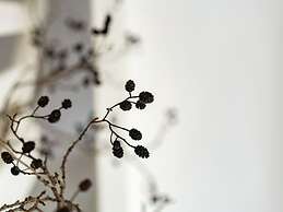 Cottage in Ovezande With Terrace