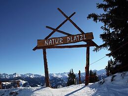 Chalet With Sauna Near the ski Area