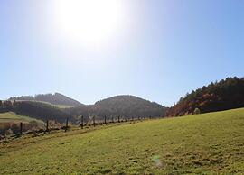 Holiday Flat in Schwalefeld Near the ski Area