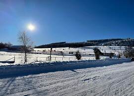 Holiday Flat in Schwalefeld Near the ski Area
