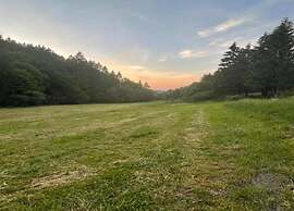 Holiday Flat in Schwalefeld Near the ski Area