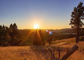 Holiday Flat in Schwalefeld Near the ski Area