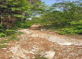 Ancient, Renovated Farmstead With Private, Equipped Garden