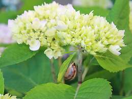 Modern Bungalow in Rerik With Terrace