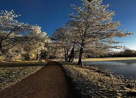 Apartment in Bad Durrheim With Balcony