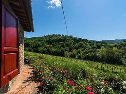 Holiday Home in Chianti With Pool