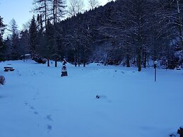 Apartment in Wildemann Harz Near the ski Area