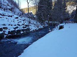 Apartment in Wildemann Harz Near the ski Area