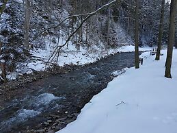 Apartment in Wildemann Harz Near the ski Area