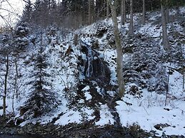 Apartment in Wildemann Harz Near the ski Area