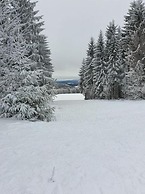 Chalet in Schnett Near Ski Slopes