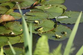Family Residence With Large Garden