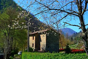 Dreamy Cottage in Trebbio With Swimming Pool