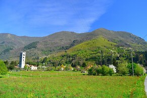 Dreamy Cottage in Trebbio With Swimming Pool