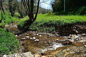 Dreamy Cottage in Trebbio With Swimming Pool