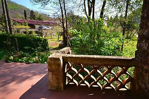 Dreamy Cottage in Trebbio With Swimming Pool
