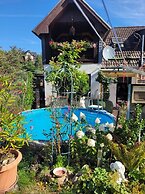 Gemutliches Ferienhaus mit Pool in Blankenburg