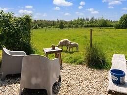 A Lovely Cottage on the Dwingelderveld Nature Park