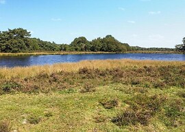 Cottage in Dwingelderveld With Scenic Views