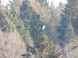 House in the Countryside on a Large Estate