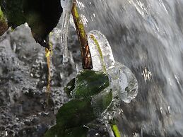 House in the Countryside on a Large Estate