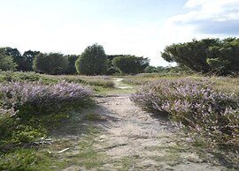 Holiday Home Mantinge Near Nature Reserve