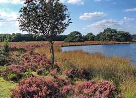 Holiday Home Mantinge Near Nature Reserve