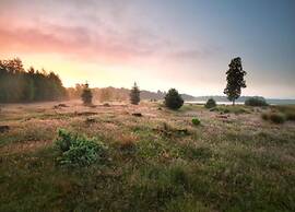 Holiday Home Mantinge Near Nature Reserve