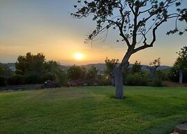 Holiday Home in Daverdisse With Garden