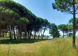 Holiday Home in Daverdisse With Garden