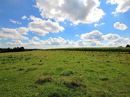 Holiday Home in Neufchateau With Terrace