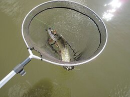 Modern Waterfront Chalet