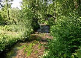 Modern Chalet in a Small Park With a Fishing Pond