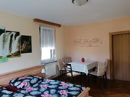 Flat Near the Tannenbergsthal ski Resort