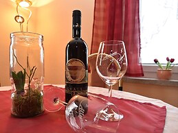 Flat Near the Tannenbergsthal ski Resort