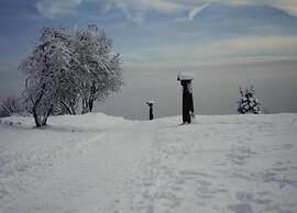 Flat in Olsberg Near the ski Area